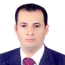 Walid  Hamed
