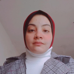 Raneem  Safi