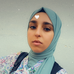 ربيعة  سلطاني