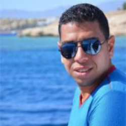 yehia  gamal
