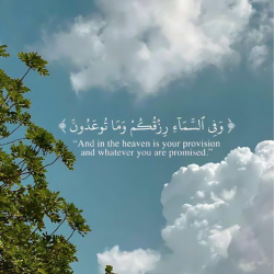 َmohamed  َoda