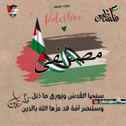 مصطفي  صديق