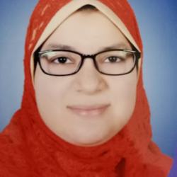 amal  abd elhamid