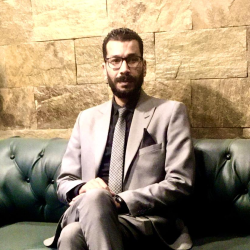 hussain  elseyed
