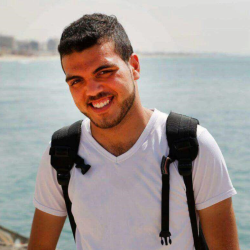 حسن  الشوا