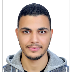 Hamza  Mohamed Bahgat